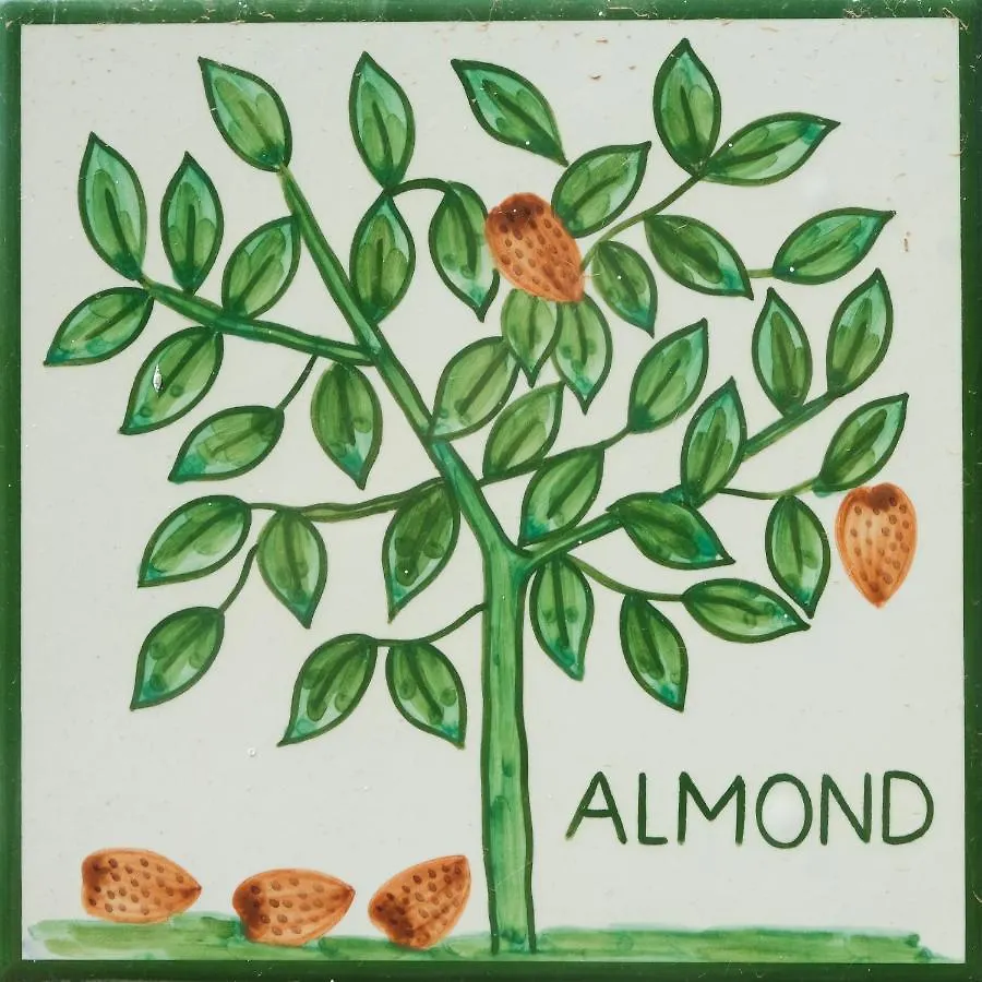 Casa Monte Cristo Apartments - Almond Lagos